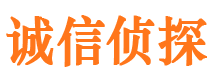 望都市私家侦探